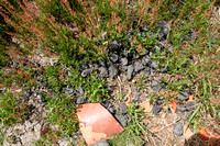 201901110 - Kiandra Courthouse and surrounds 20