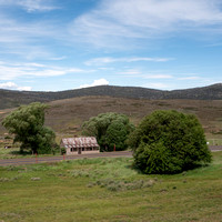 201901110 - Kiandra Courthouse and surrounds 25